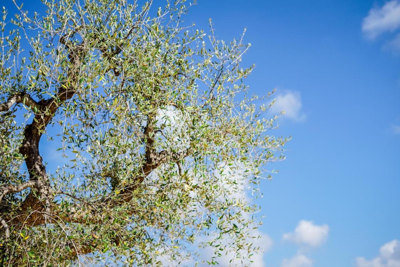 Quattroperle Trulli - Relax - Puglia Villa Кастелана Гроте Екстериор снимка